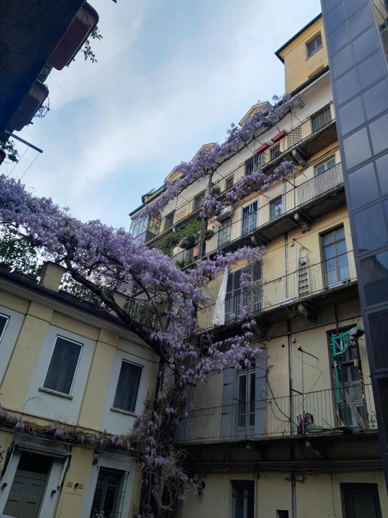 Alloggio Torino InQuadro Esterno foto
